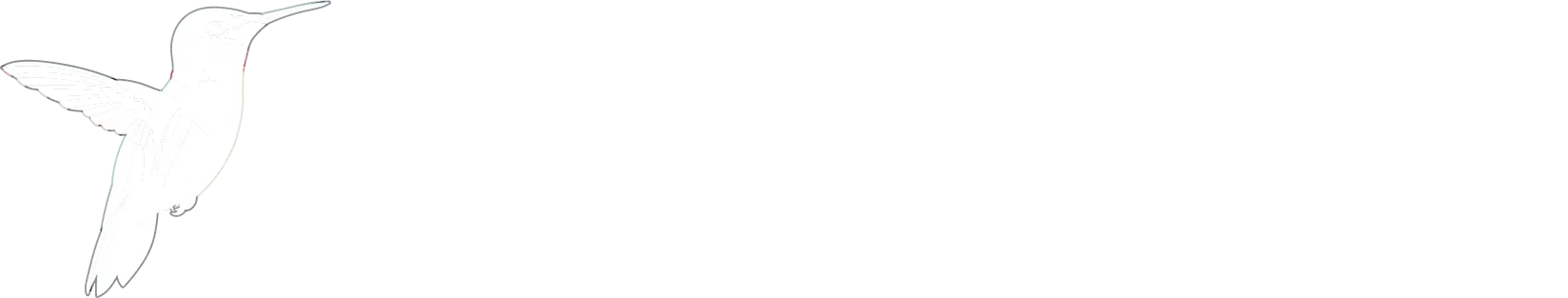 Anita Tanner logo with hummingbird